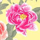Logo Cotton Boyshort Panty, Yellow Floral, swatch