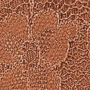 Lace Adjustable V-String Panty, Caramel, swatch