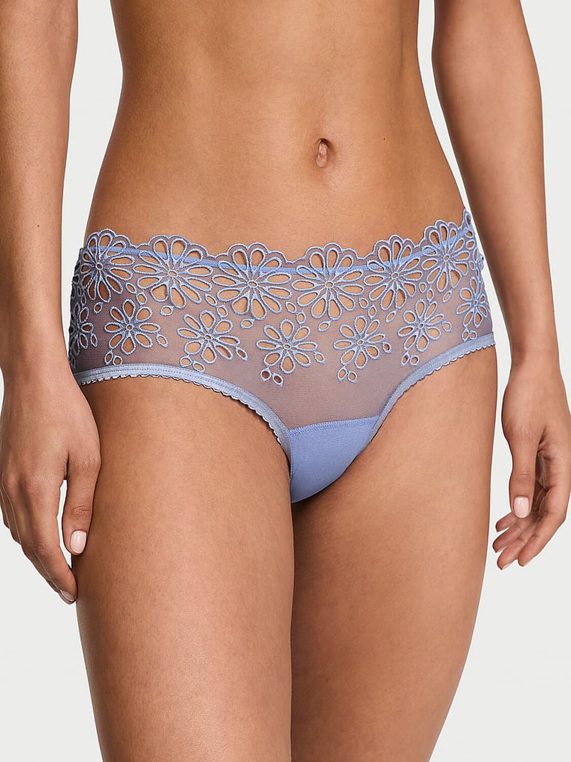 vs The Lacie Eyelet Mesh Cheeky Panty Periwinkle Blue 1 of 5 