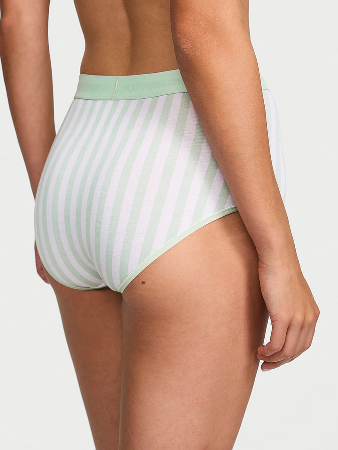 vs Cotton Logo Cotton Modern Brief Panty Sweet Mint Stripes 1 of 3 
