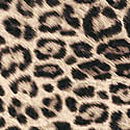 Exploded Logo Cotton Modern Brief Panty, Leopard, swatch