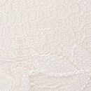 Lace Push-Up Bra, Coconut White, swatch