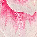 Peony Embroidery V-String Panty, White & Pink Peonies, swatch