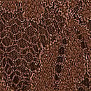 Lace Thong Panty, Mousse, swatch