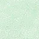 Posey Lace Cheeky Panty, Pretty Mint, swatch
