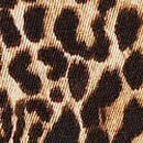 Exploded Logo Cotton 90s Brief Panty, Leopard, swatch