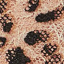 Lace Bikini Panty, Classic Animal, swatch