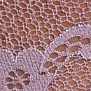 Lace Thong Panty, Deep Hyacinth, swatch