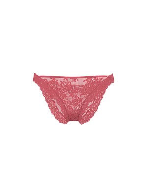 Lace Bikini Panty
