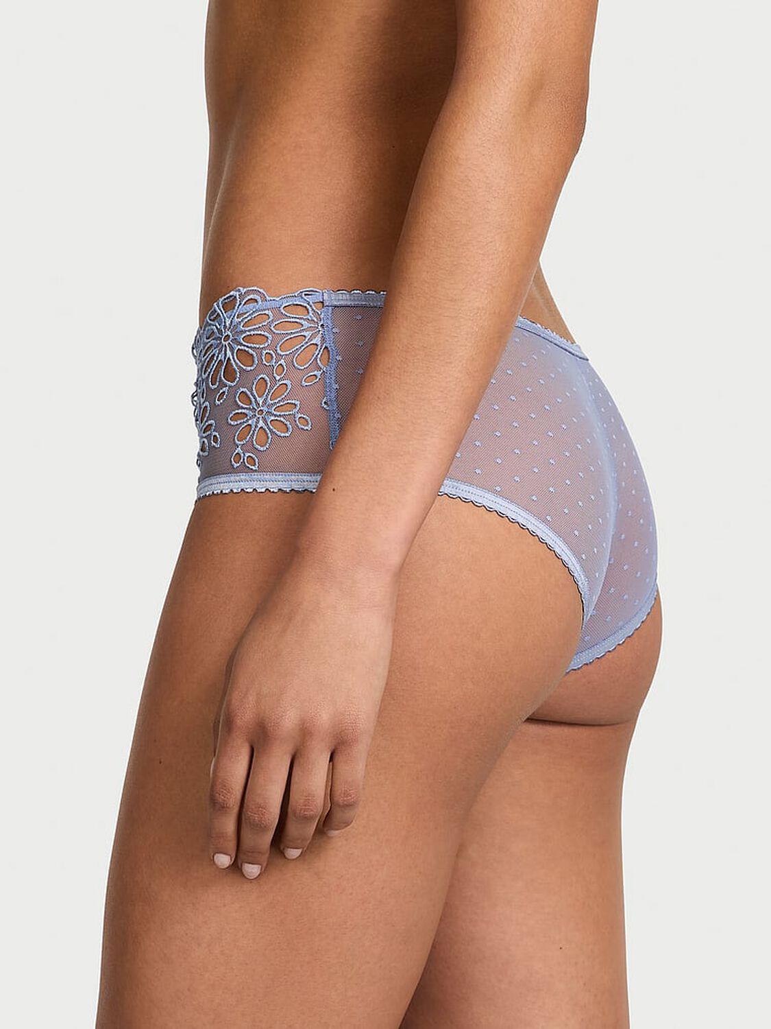 vs The Lacie Eyelet Mesh Cheeky Panty Periwinkle Blue 2 of 5 