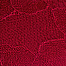 Shine Strap Brazilian Panty, Red Lacquer, swatch