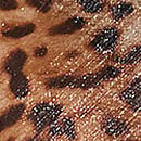 Geo Leo Chiffon Draped Maxi Slip Dress, Shimmer Leopard, swatch