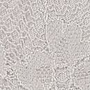 Lace Adjustable V-String Panty, Grey, swatch