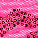 Flirty Mesh Shine Strap Thong Panty, Fuchsia Frenzy, swatch