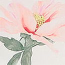 Glazed Satin Short Pajama Set, All Over Peony Floral W Logo Border, swatch