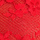 Lace Tulle Plunge Babydoll Set, Bright Vermillion, swatch