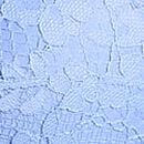Lace Push-Up Bra, Cameo Blue, swatch