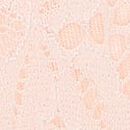 Lace Thong Panty, Purest Pink, swatch