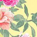 Logo Cotton Thong Panty, Yellow Floral, swatch