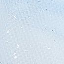 Twinkle Cameo Strap Glitter Tulle Unlined Bra Top, Light Blue Shimmer, swatch