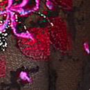 Cherry Pop Embroidery Unlined Demi Bra, Black Cherry Pop, swatch