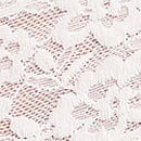 Blossom Lace Cheeky Panty, Coconut White, swatch