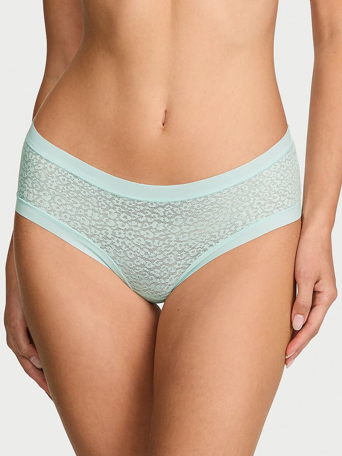 vs No-Show No-Show Leopard Lace Cheeky Panty Yacht Blue 1 of 3 
