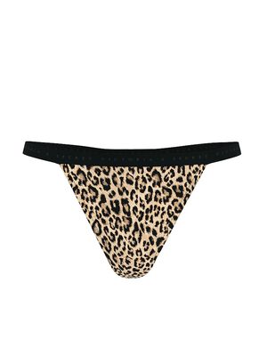 Stretch Cotton V-String Panty