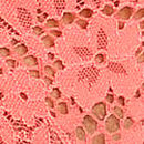 Lace Brazilian Panty, Cactus Flower, swatch