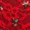 Blossom Lace Cheeky Panty, Bright Vermillion Roses, swatch