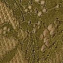 Lace Brazilian Panty, Green Chameleon, swatch