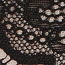 Lace & Mesh String Bikini Panty, Black & Purest Pink, swatch