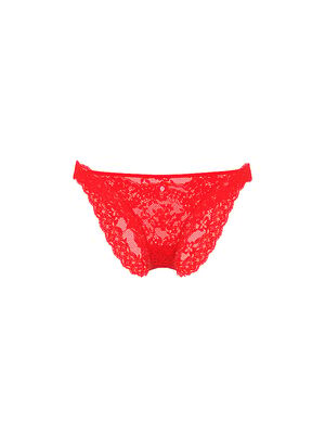 Lace Bikini Panty