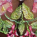 Wisteria Embroidery Brazilian Panty, Black Wisteria, swatch
