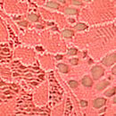 Lace Bikini Panty, Cactus Flower, swatch