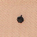 Sheer Rose Brazilian Panty, Praline, swatch