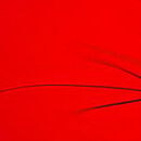 Brazilian Bikini Bottom, Red Pepper, swatch