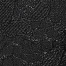Lace Push-Up Bra, Black, swatch