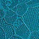 Rose Lace Lightly Lined Strappy Teddy, Jade, swatch
