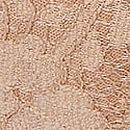 Lace Lightly Lined Classic Coverage Demi Bra, Praline, swatch