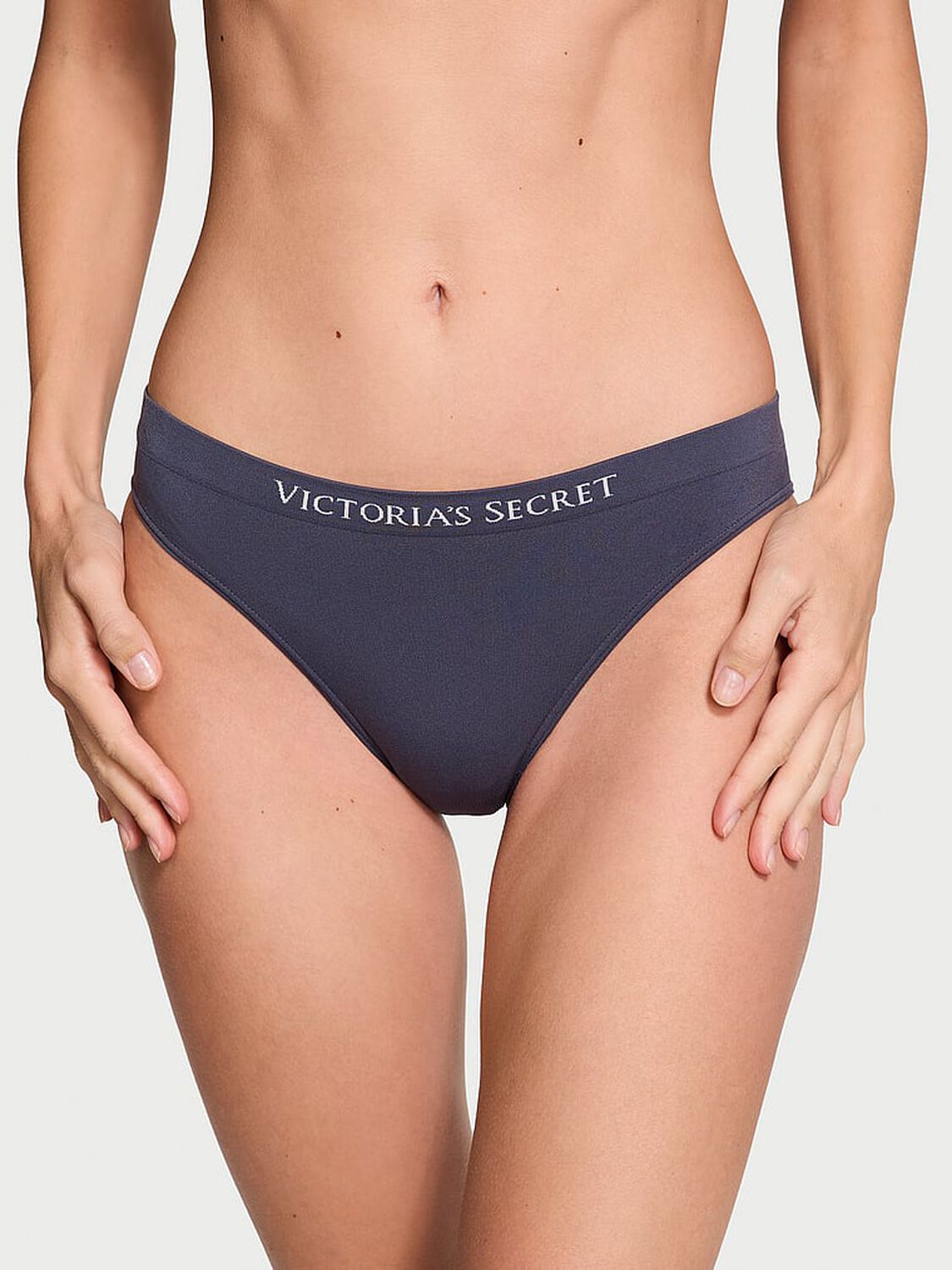 vs Seamless Seamless Bikini Panty Slate Blue 1 of 3 