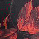 Satin Rose Lace-Trim Mini Slip Dress, Rose Floral, swatch