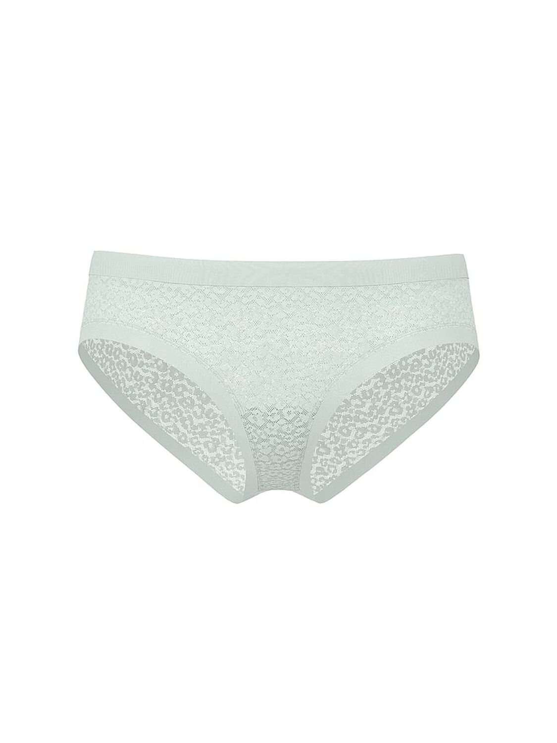 vs No-Show No-Show Leopard Lace Cheeky Panty Yacht Blue 3 of 3 