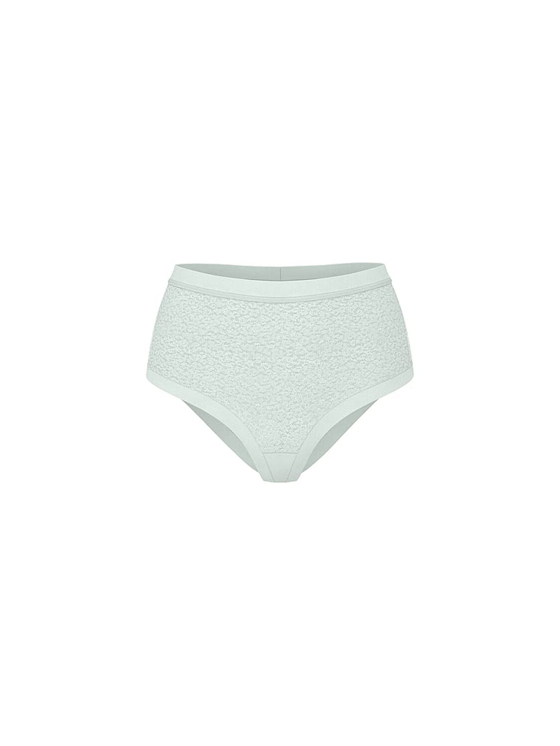 vs No-Show No-Show Leopard Lace Modern Brief Panty Yacht Blue 3 of 3 