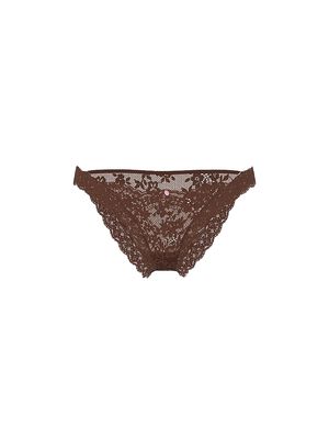 Lace Bikini Panty