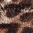 Geo Leo Embroidery Garter Belt, Shimmer Geo Leo, swatch