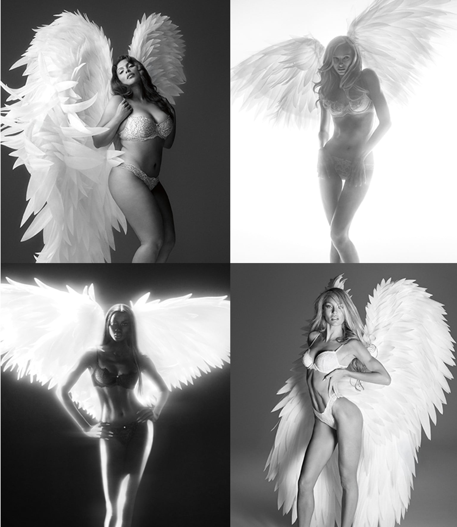 The Angles Return