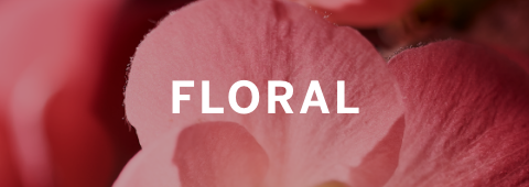 Beauty Floral