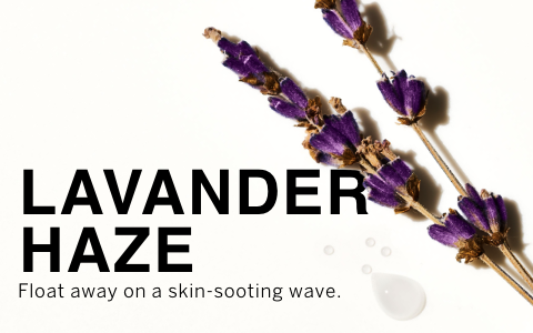 Lavander Haze 